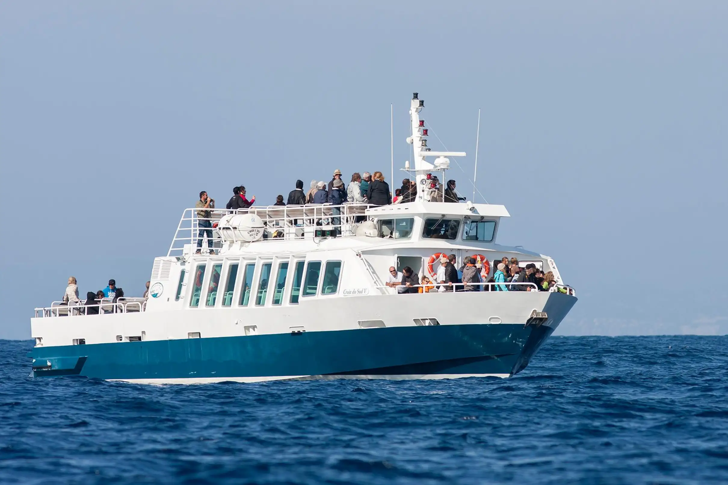 Sanary-sur-Mer : Sortie d'observation des baleines et dauphins