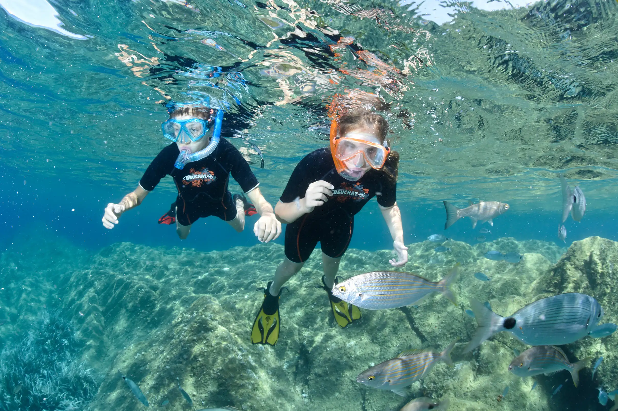 Depuis Mandelieu-La Napoule : excursion en bateau et plongée avec tuba