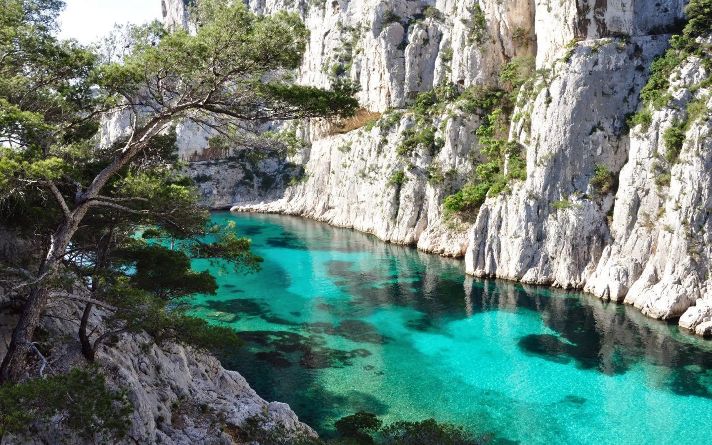 La Ciotat : sortie en bateau l'après-midi dans les calanques avec snorkeling