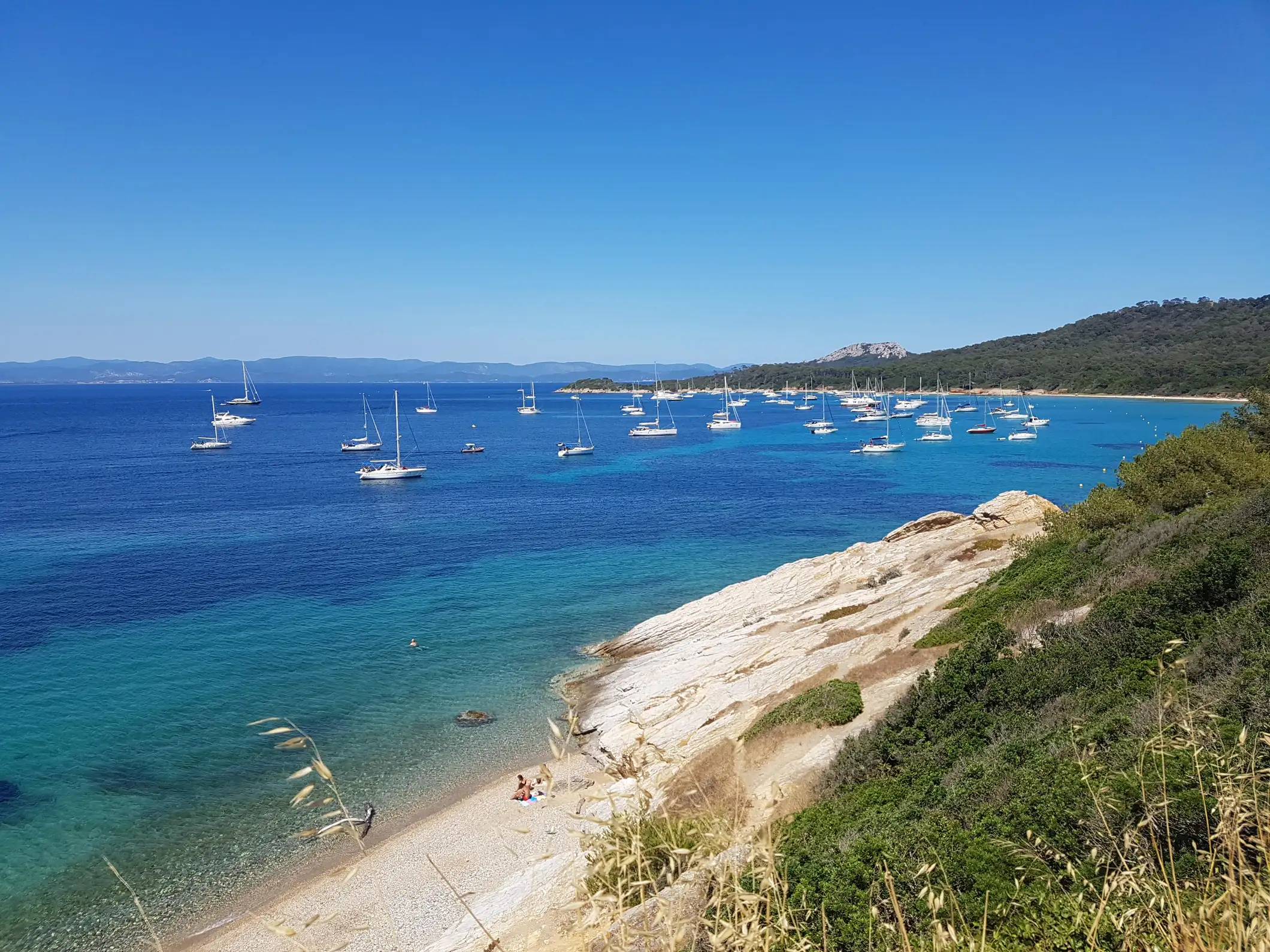 Excursion vers l'île de Porquerolles au départ de Bandol