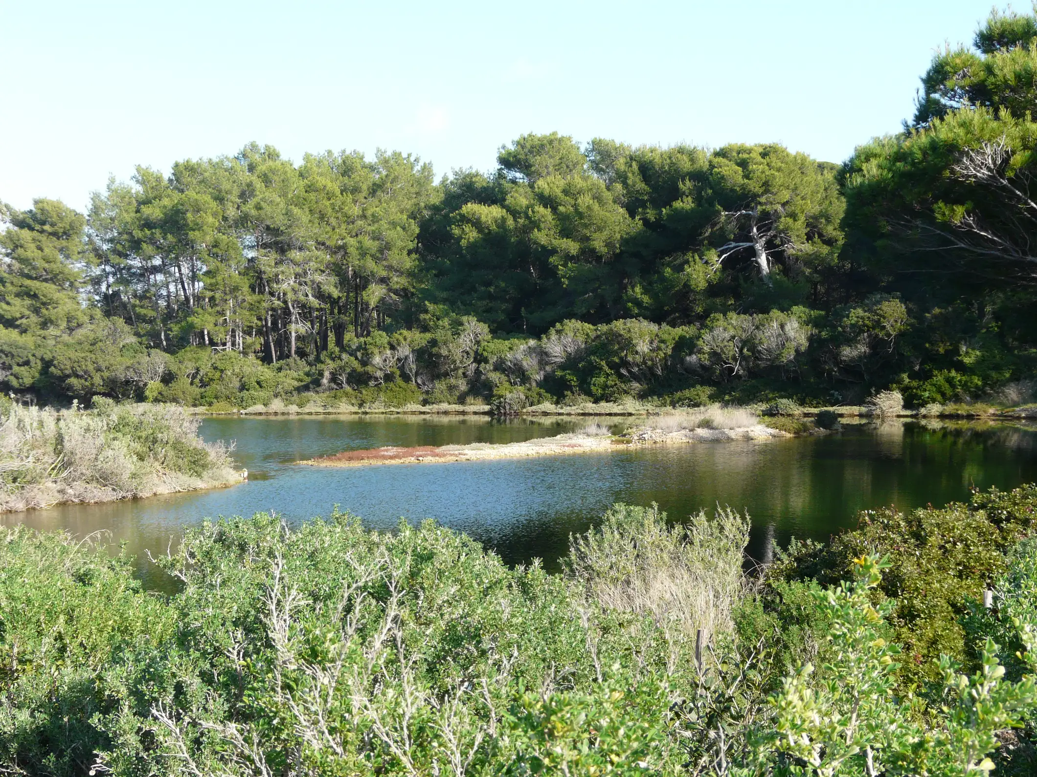 Au départ de Cannes : Billets de ferry pour l'île Sainte-Marguerite