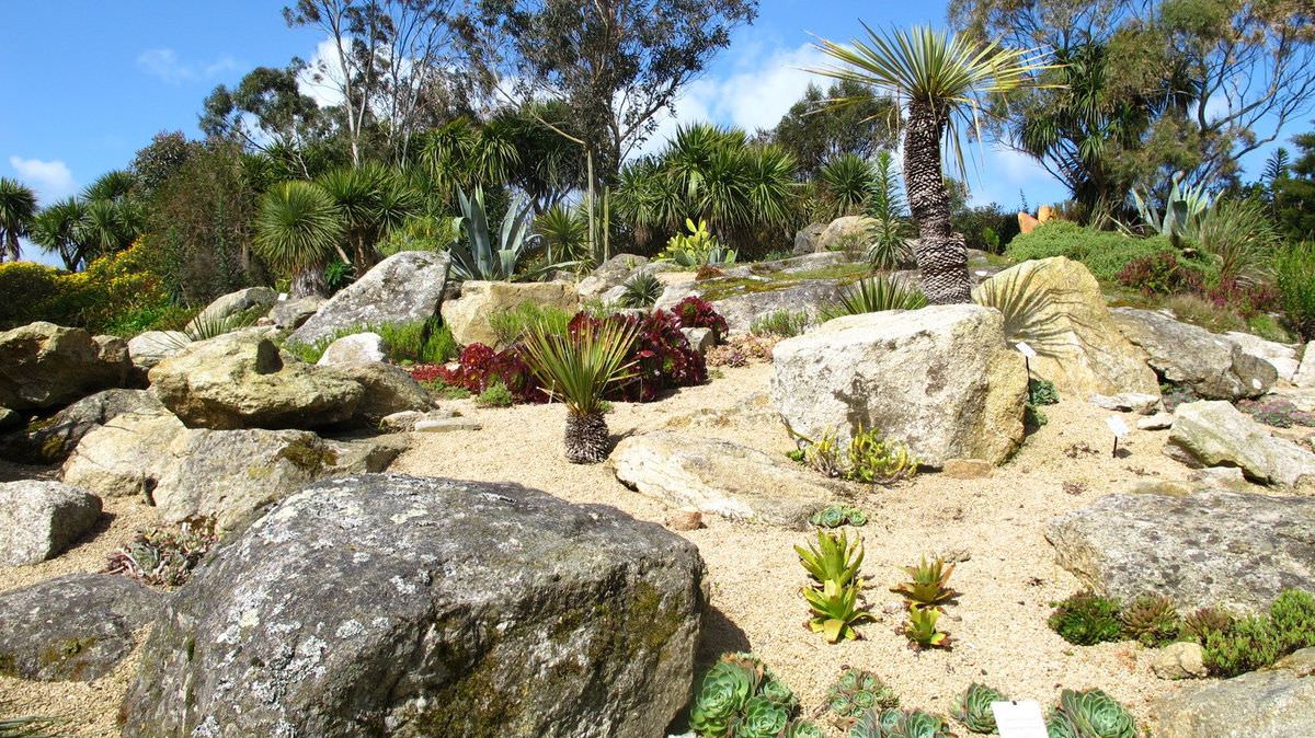 Jardin Exotique & Botanique de Roscoff