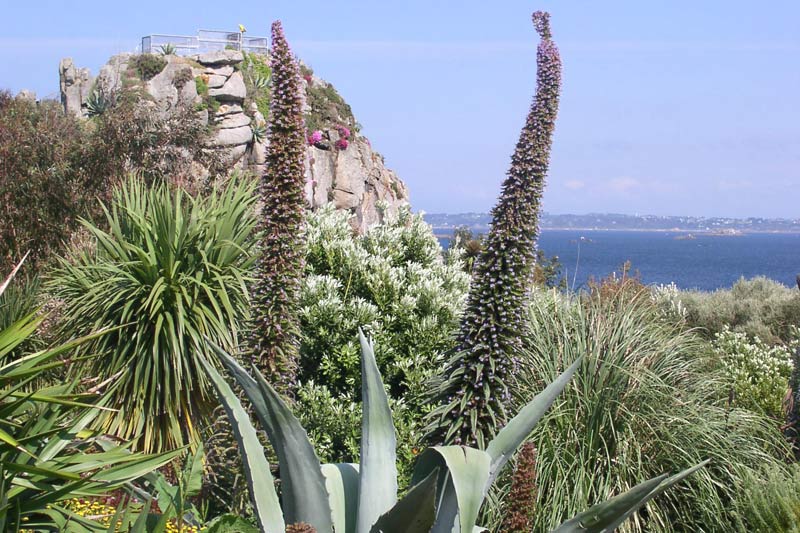 Jardin Exotique & Botanique de Roscoff