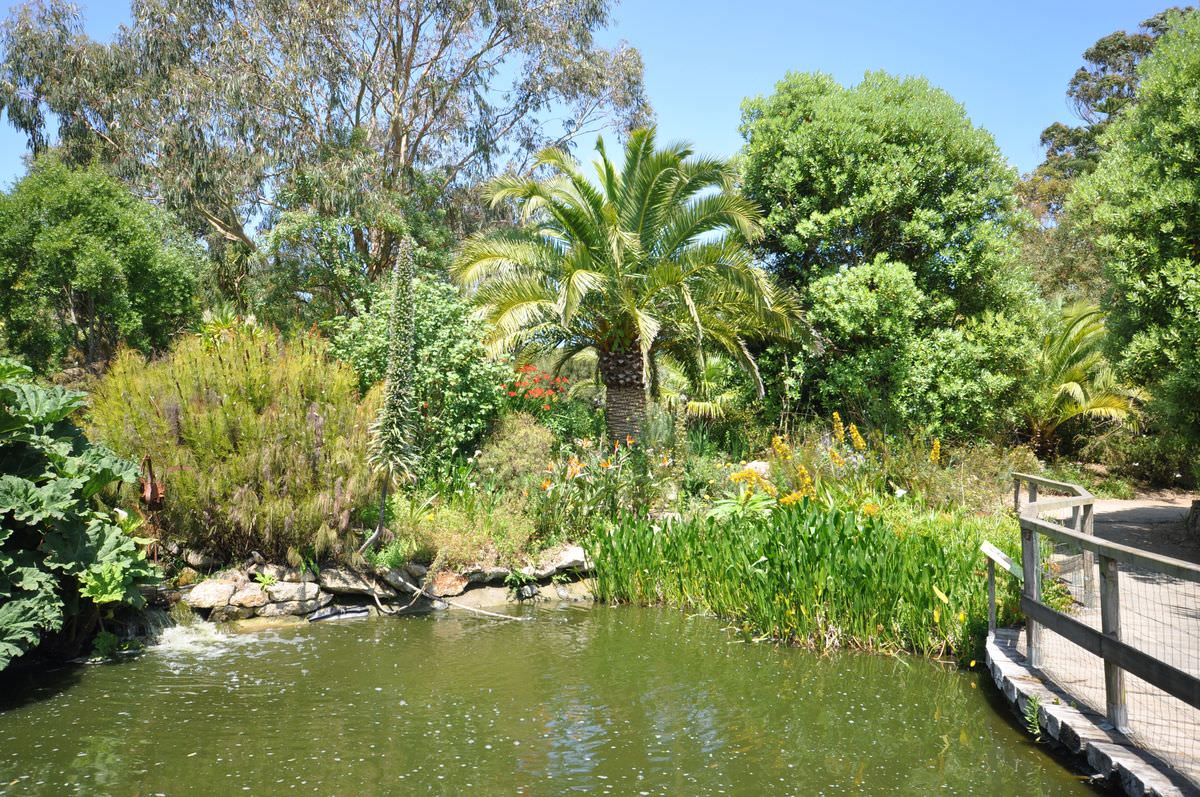 Jardin Exotique & Botanique de Roscoff