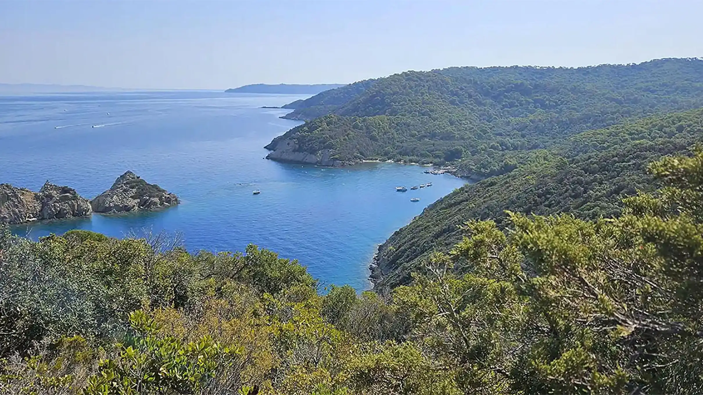 Bormes-les-Mimosas : Excursion en bateau Hybride pour l'île de Port-Cros