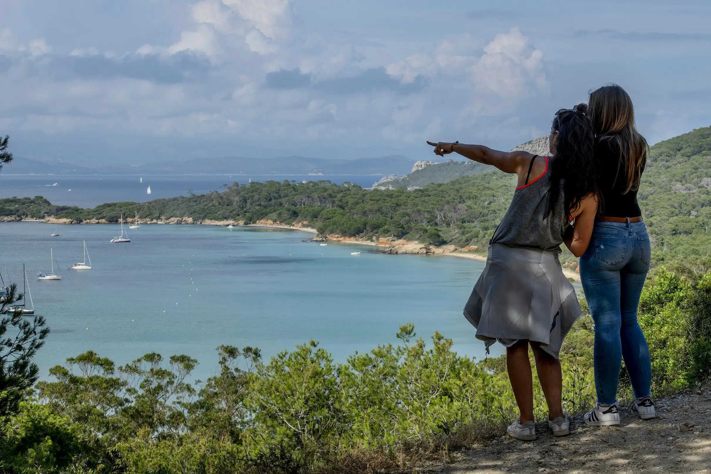 Sanary-sur-Mer : Observation dauphins et escale sur l'île de Porquerolles