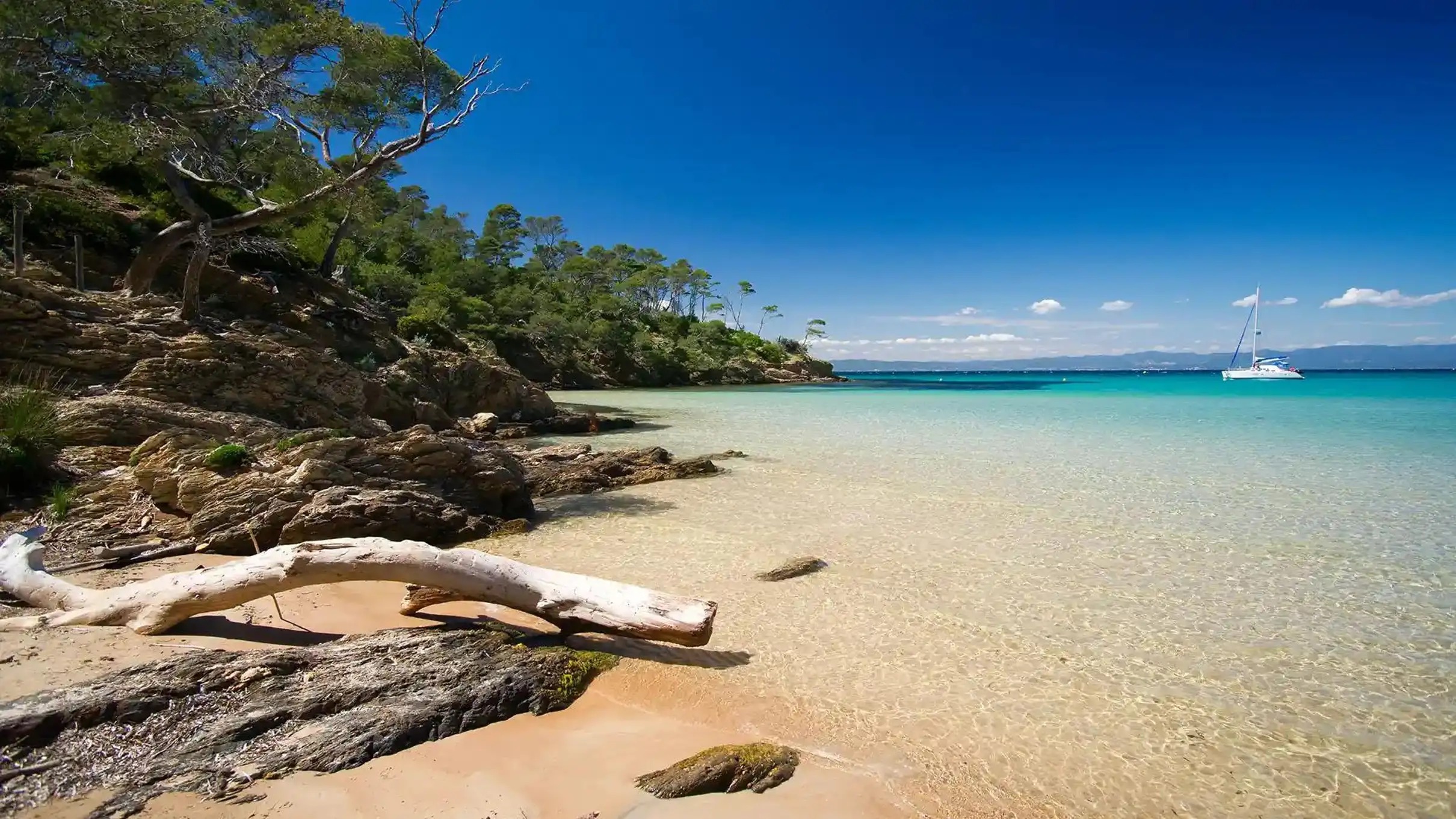 Bormes-les-Mimosas: Excursion en bateau Hybride pour l'île de Porquerolles