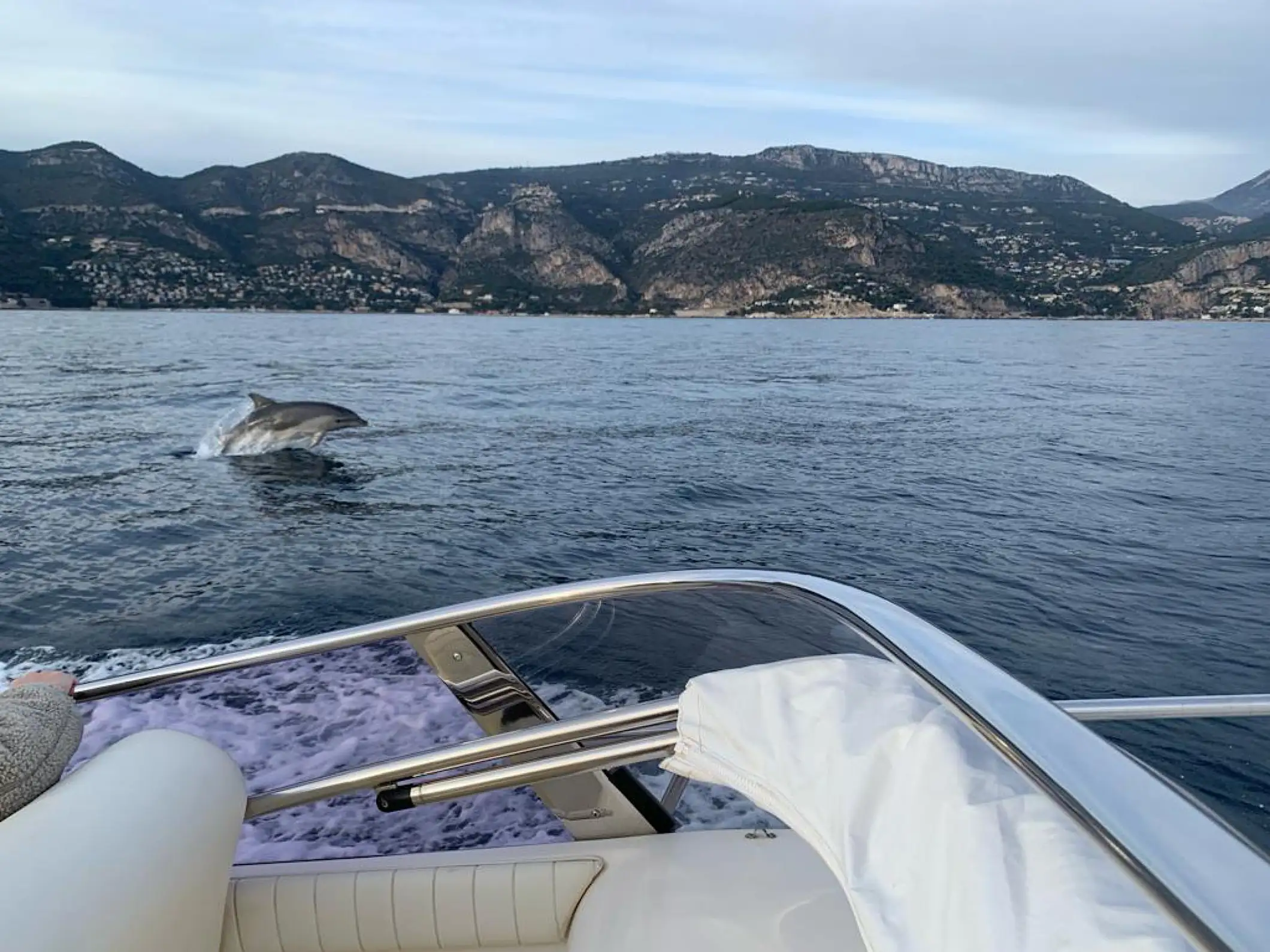 Sortie privée en bateau de luxe à bord d'un Day Cruiser exclusif