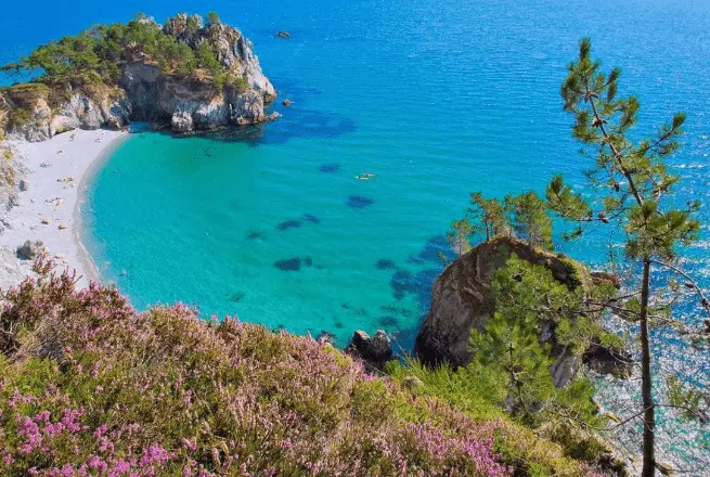 Plage de l'île Vierge