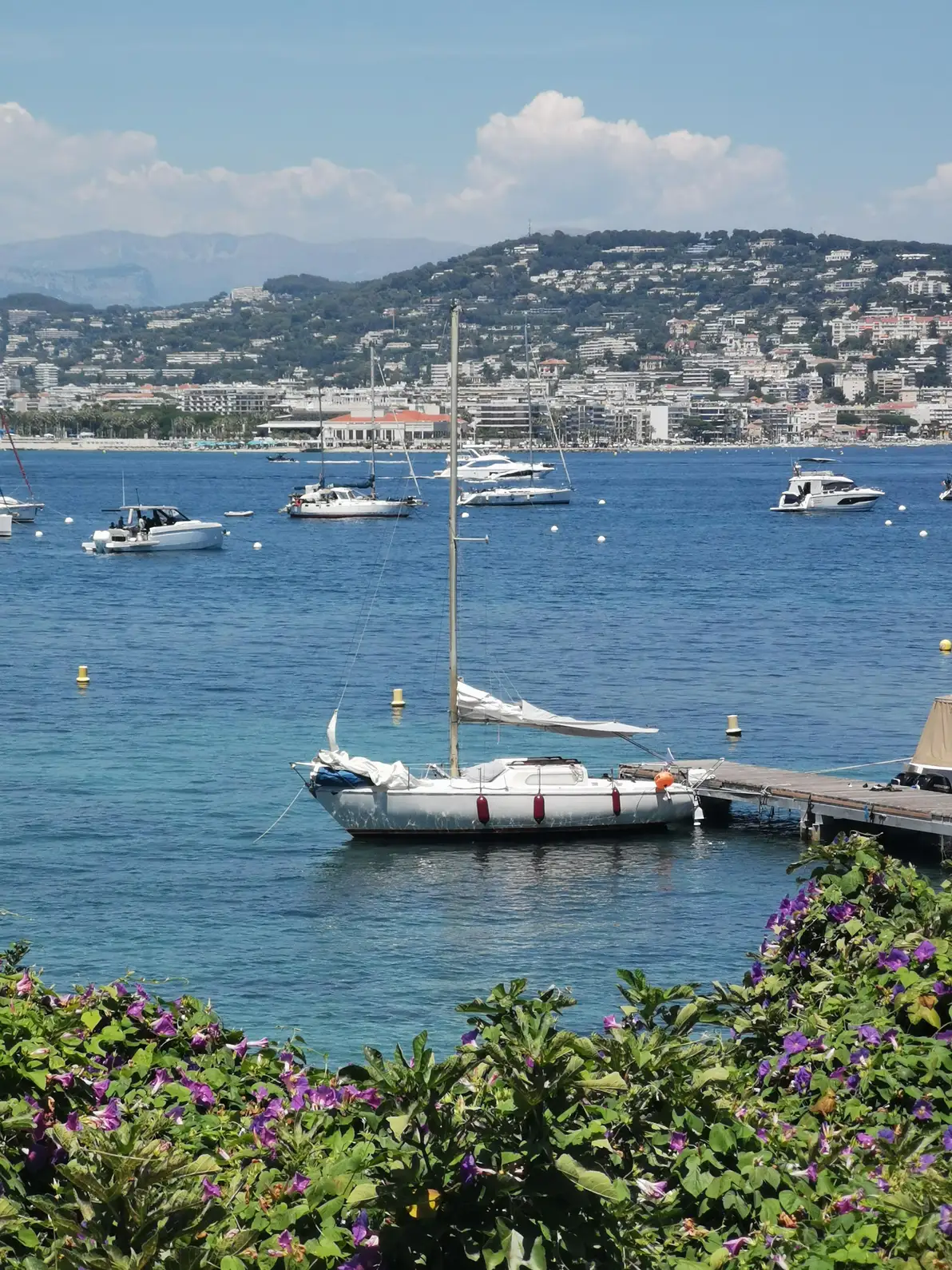 Excursion privée à la voile & pique-nique provençal