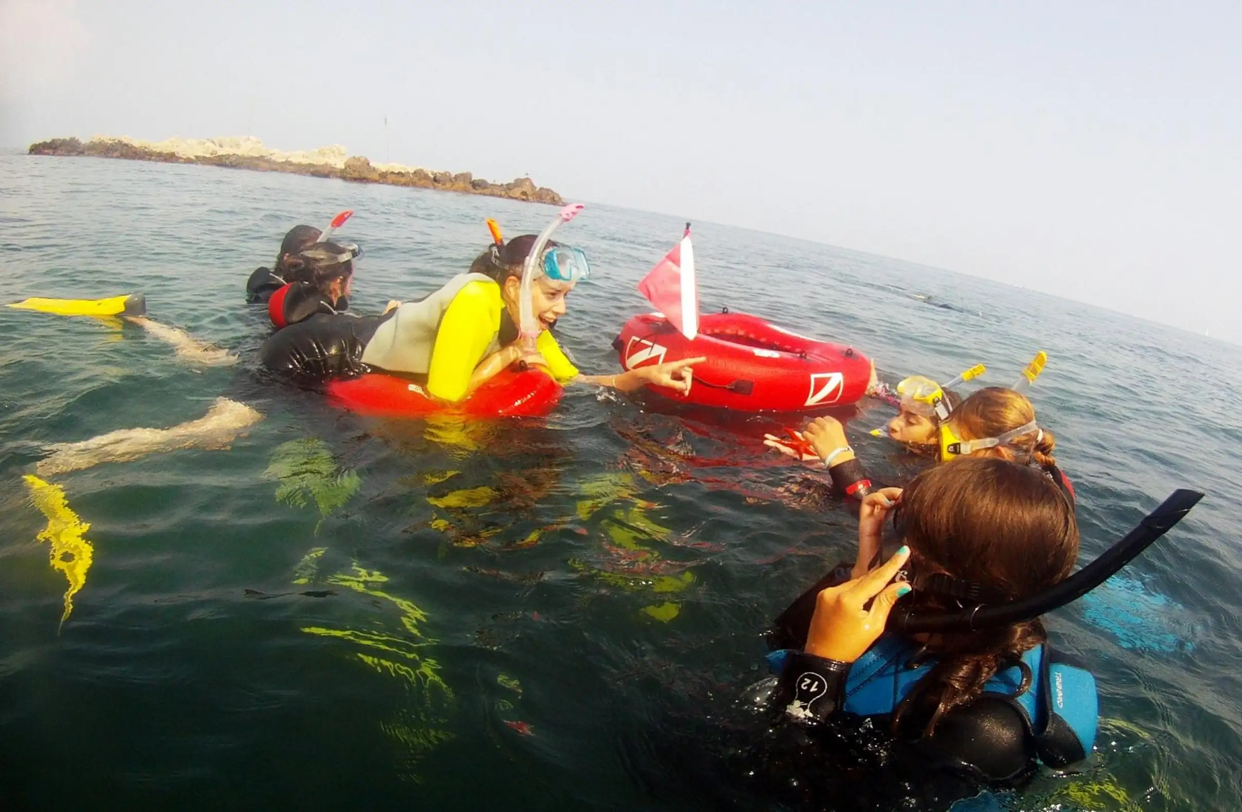 Excursion bateau, Snorkeling WhaleWatching Cap d'Antibes