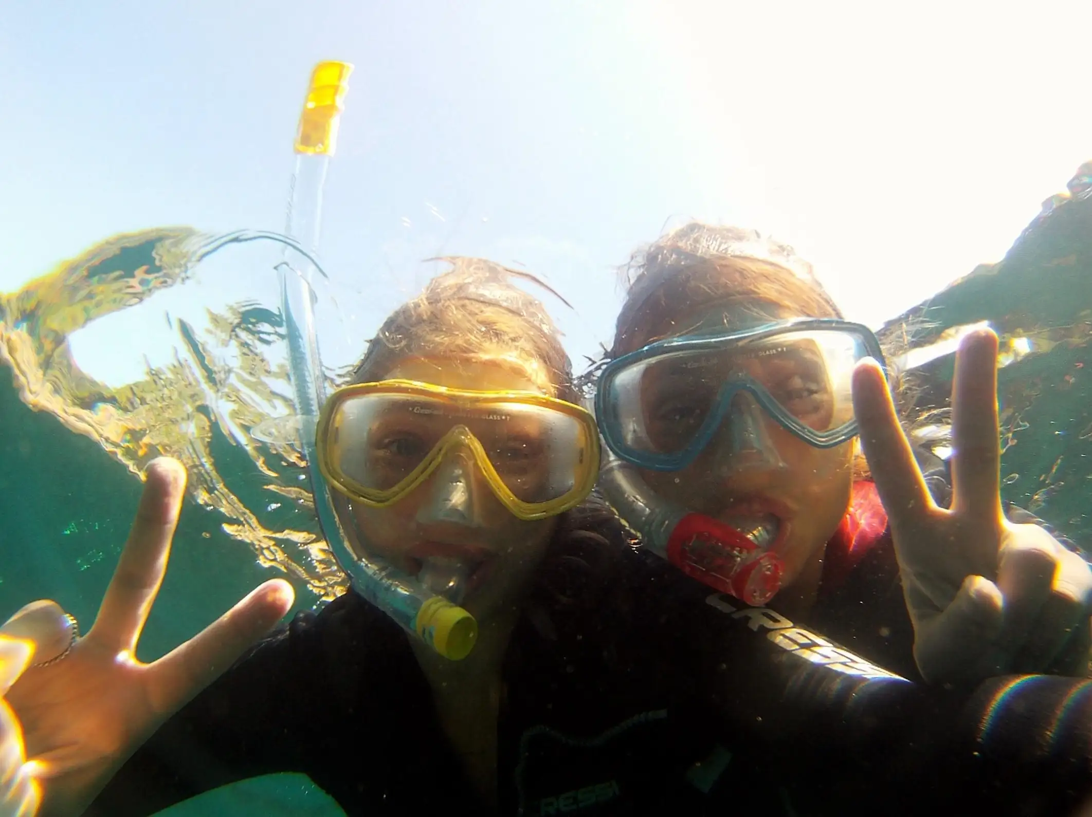 Excursion bateau, Snorkeling WhaleWatching Cap d'Antibes