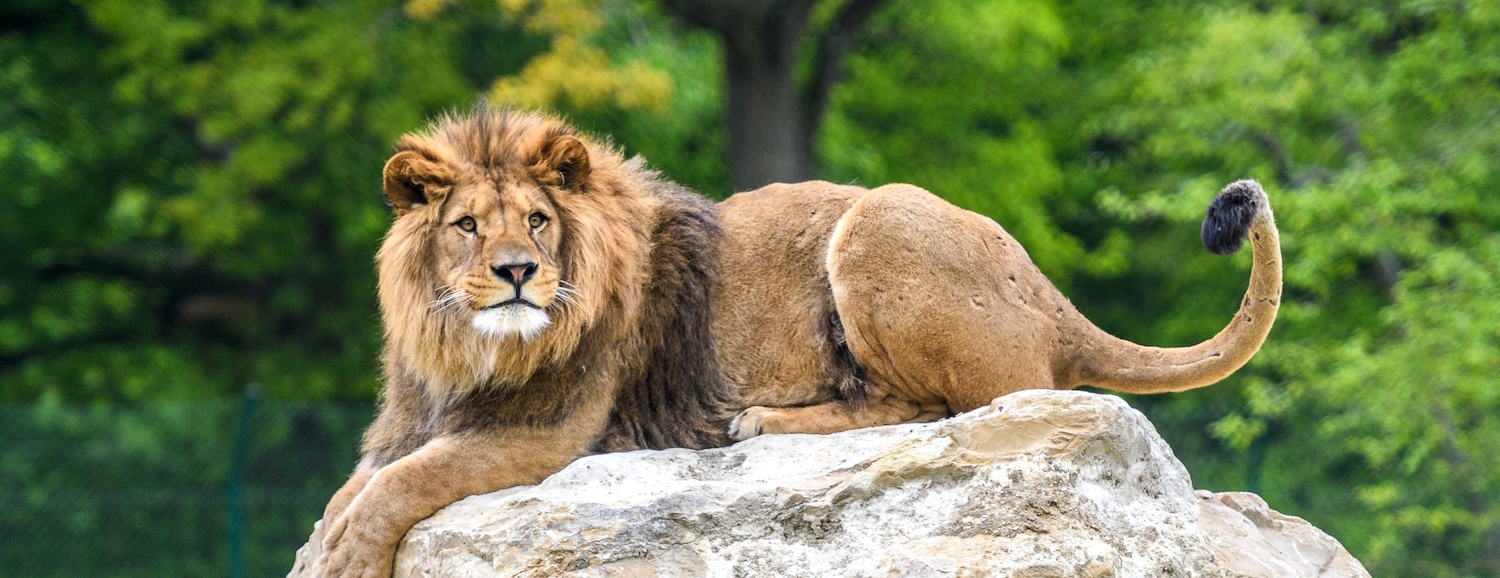 Parc Zoologique du Bois d'Attilly