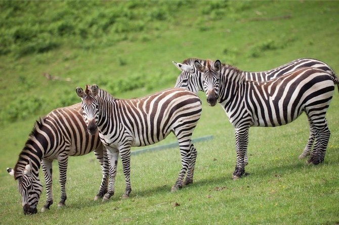 Parc Zoologique du Bois d'Attilly