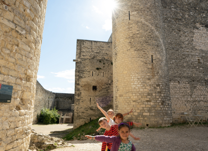 Château de Montélimar