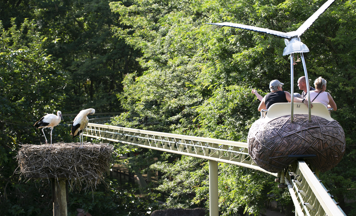 Cigoland Parc des Cigognes et Attractions
