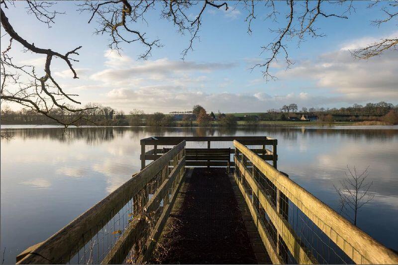 Etang de Marcille-Robert
