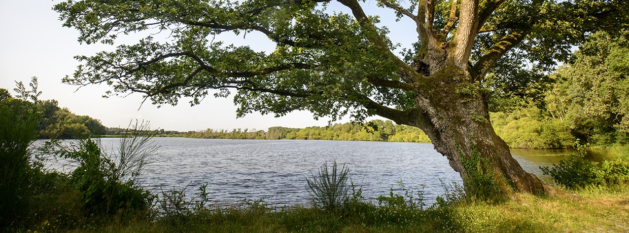 Étang de clegreux