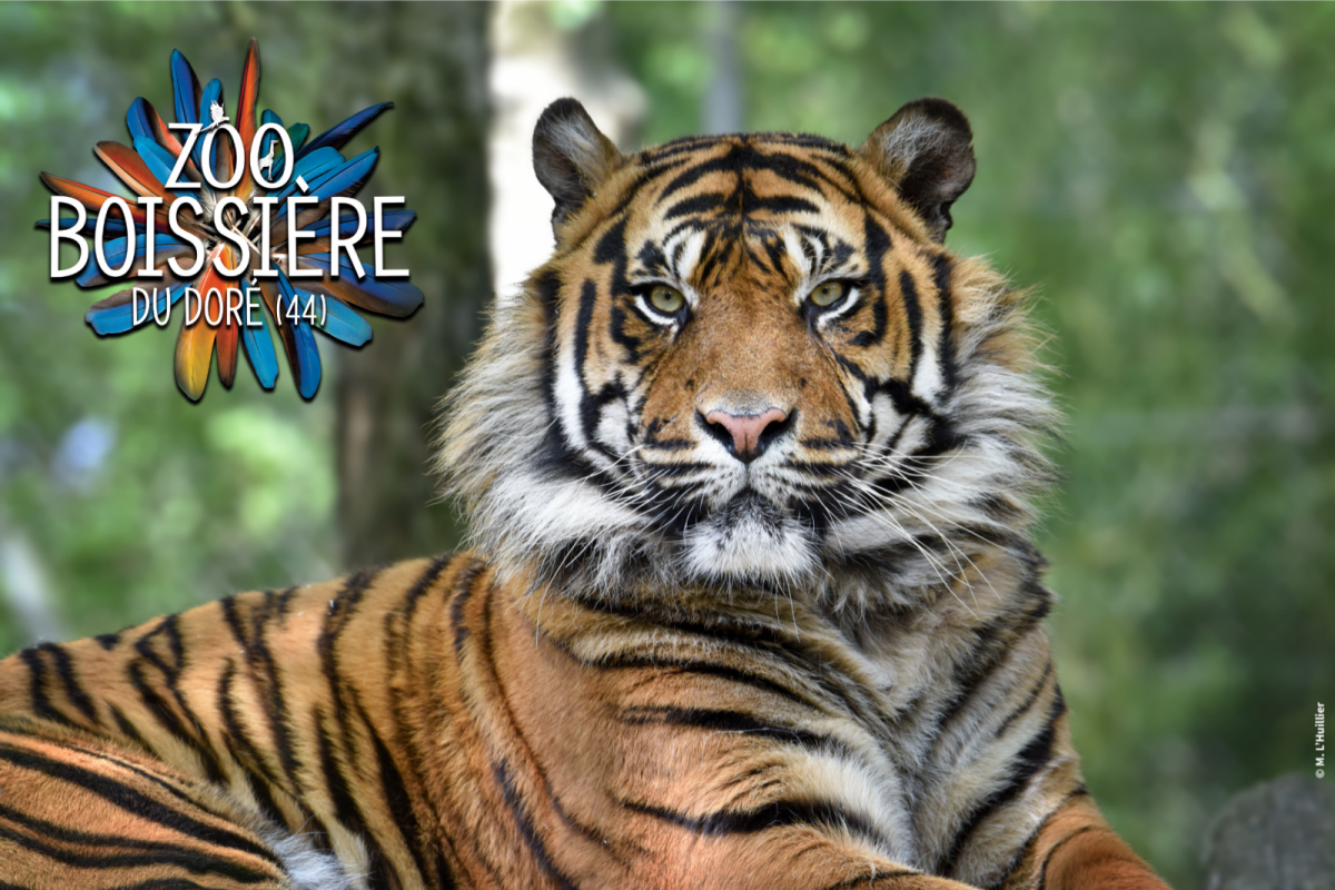 Zoo de la Boissière-du-Doré