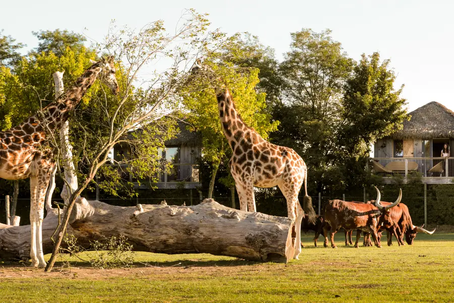 Zoo de la Boissière-du-Doré