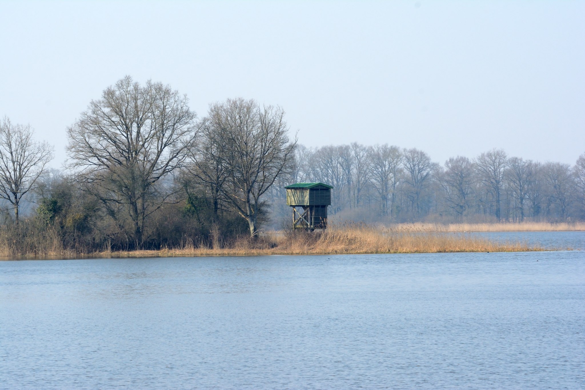 Observatoire ornithologique de l'Etang des Landres