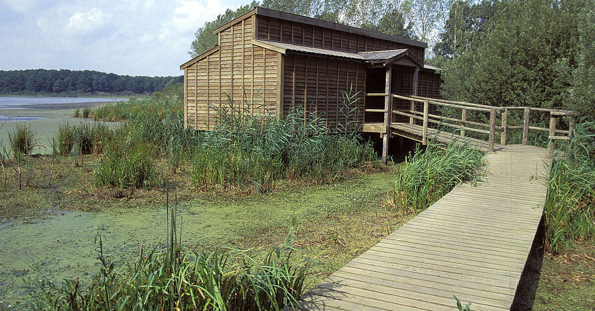 Observatoire ornithologique de l'Etang des Landres
