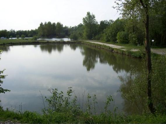 Étang de Lottinghen