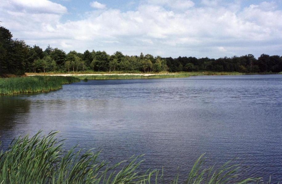 Etang Le Grand Bois