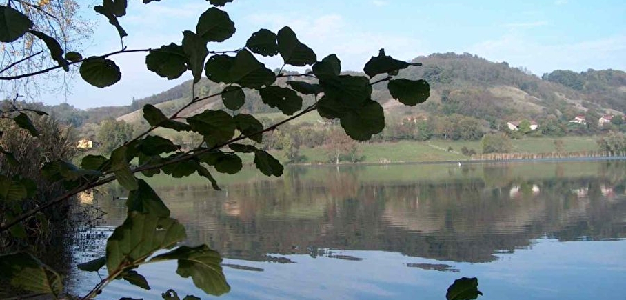 Etang de Montjoux
