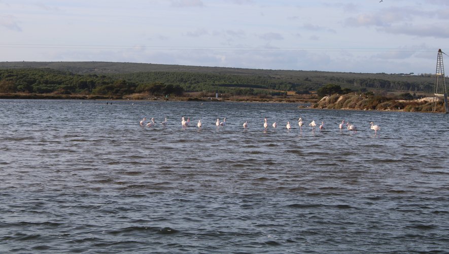 Étang de Pissevaches