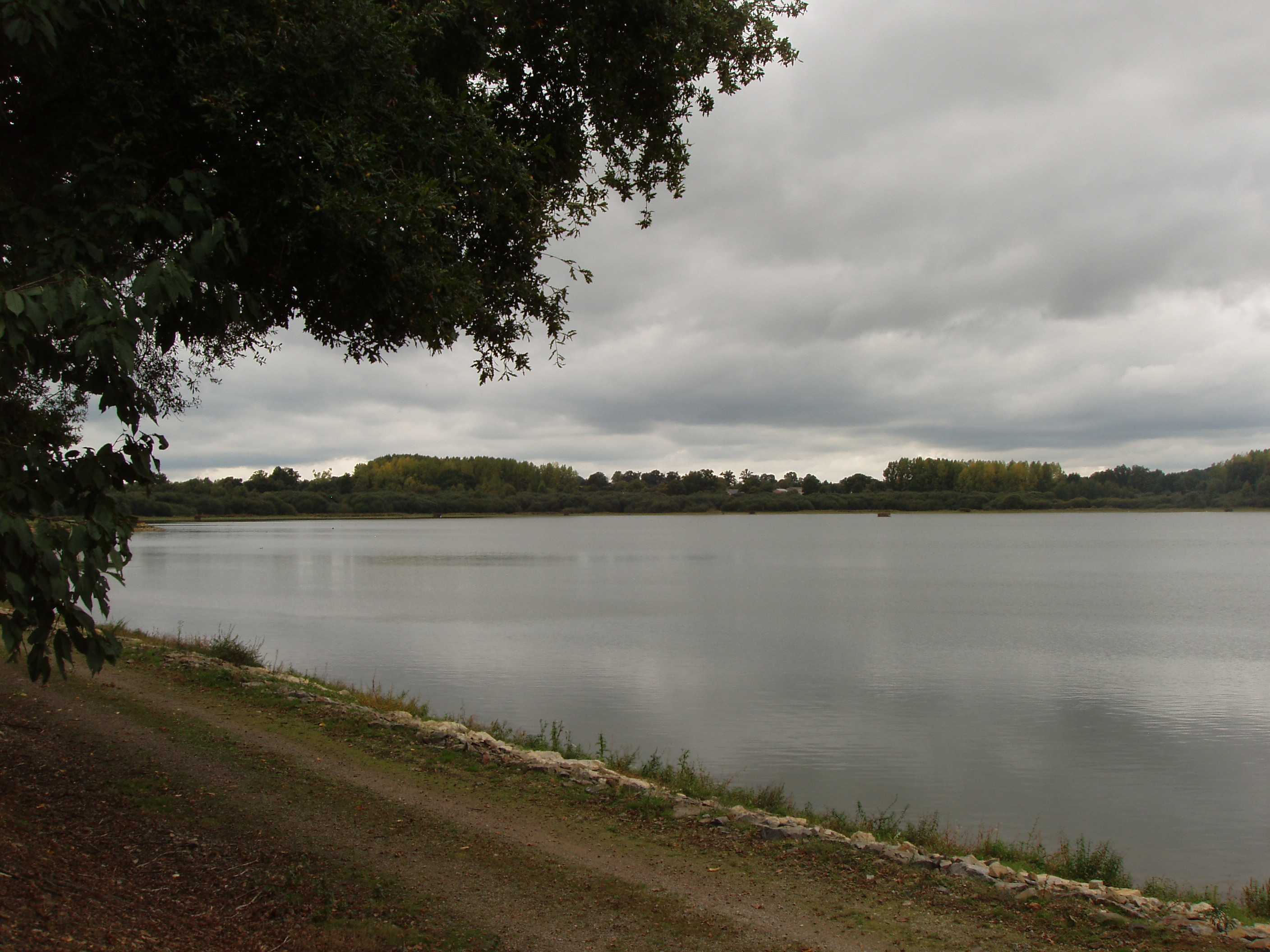 étang de Paintourteau