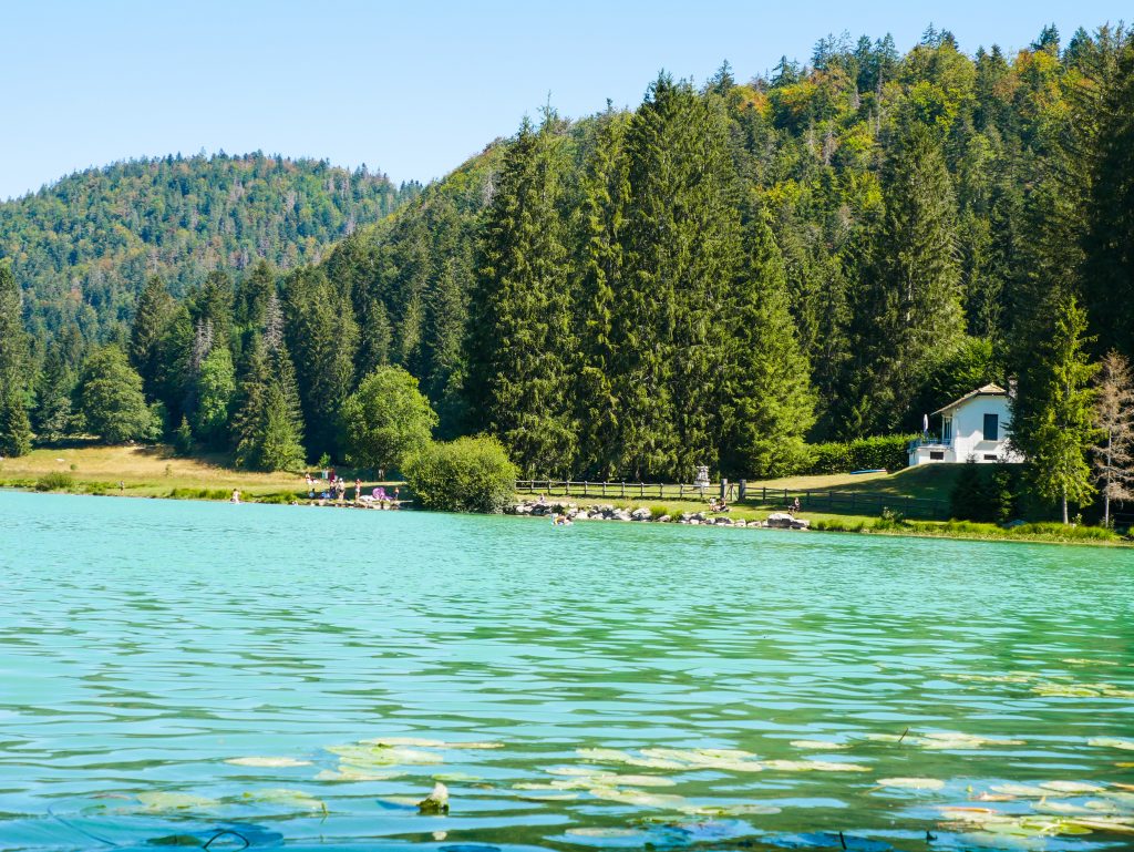 lac Genin
