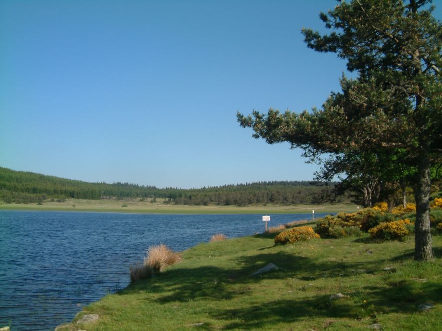 étang de Barrandon