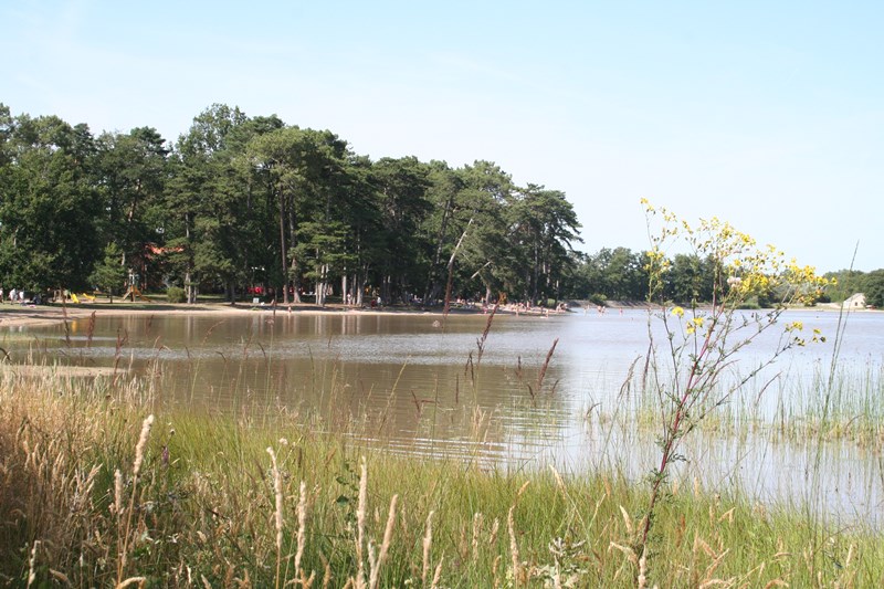 Etang de Bellebouche