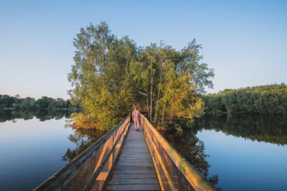 Etang de Gruellau