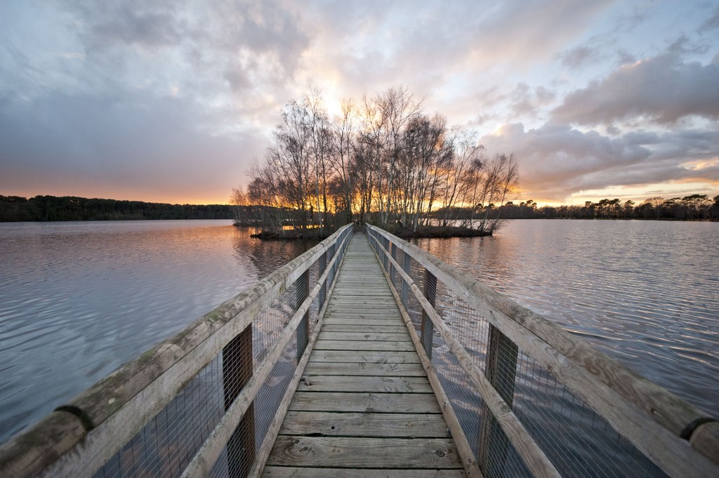 Etang de Gruellau