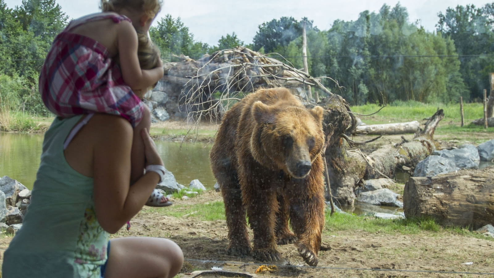 Parc animalier de Sainte-Croix