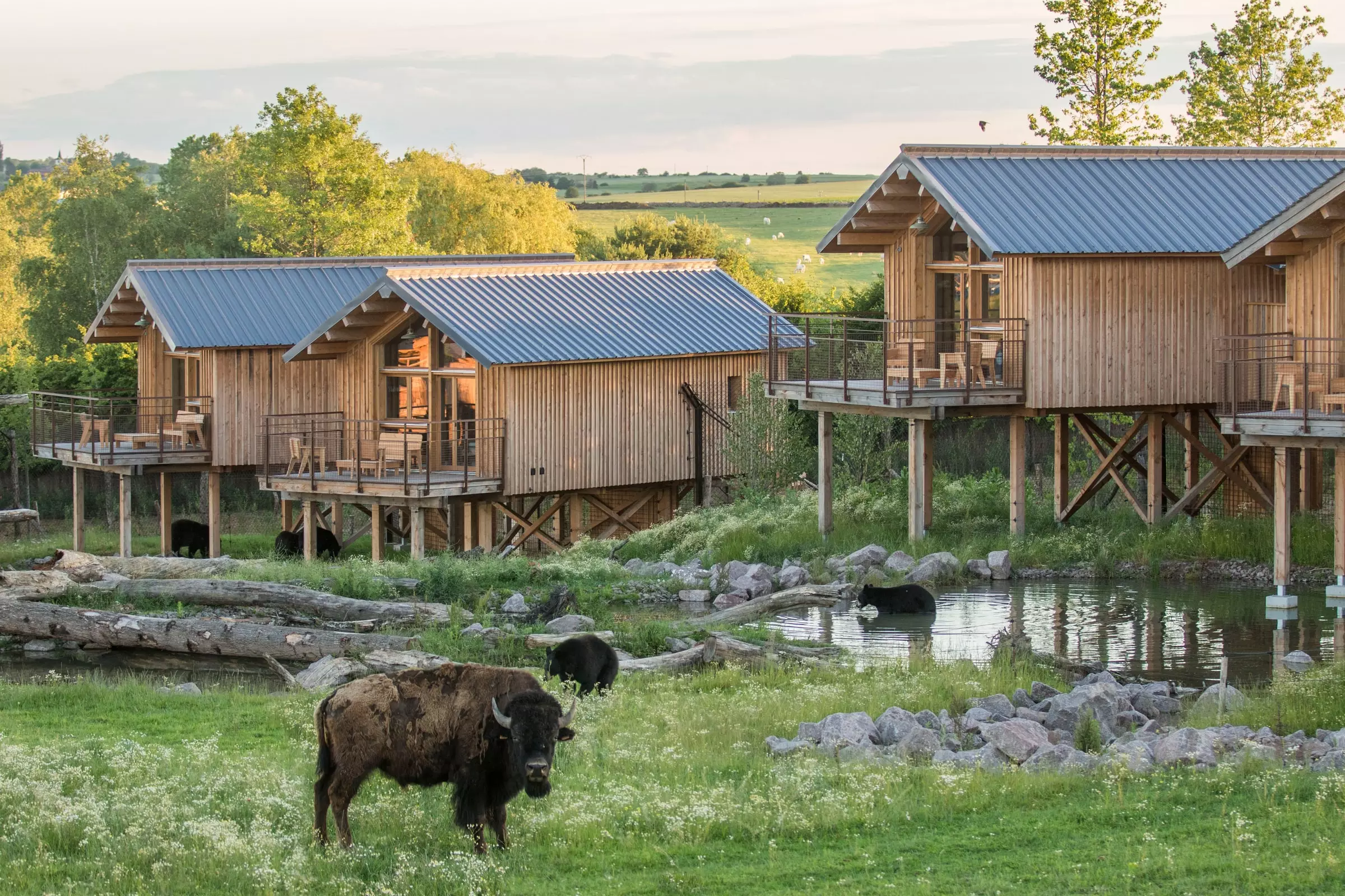 Parc animalier de Sainte-Croix